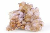 Sparkling Cactus Amethyst Crystal Cluster - South Africa #382313-1
